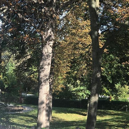Domizil Eutschuetzgruen Bannewitz Exterior foto