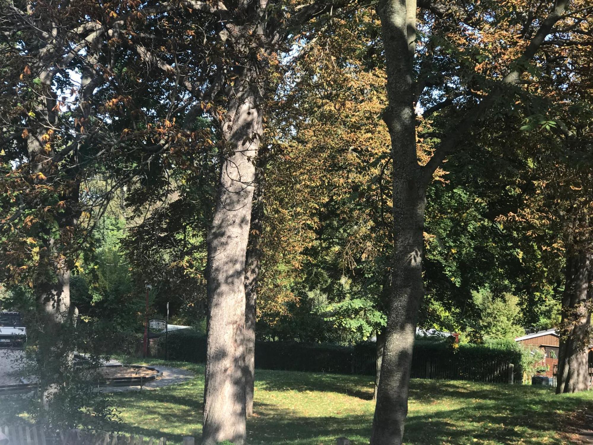 Domizil Eutschuetzgruen Bannewitz Exterior foto